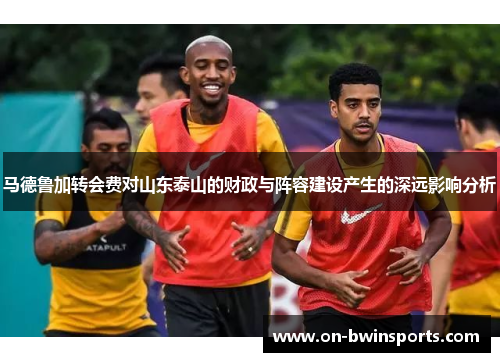 马德鲁加转会费对山东泰山的财政与阵容建设产生的深远影响分析