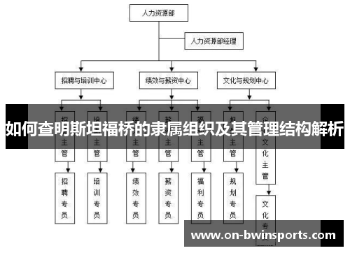 如何查明斯坦福桥的隶属组织及其管理结构解析